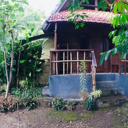 Echo Alam Nusa Lodge Ped ภายนอก รูปภาพ