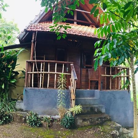Echo Alam Nusa Lodge Ped ภายนอก รูปภาพ