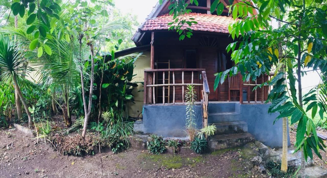 Echo Alam Nusa Lodge Ped ภายนอก รูปภาพ