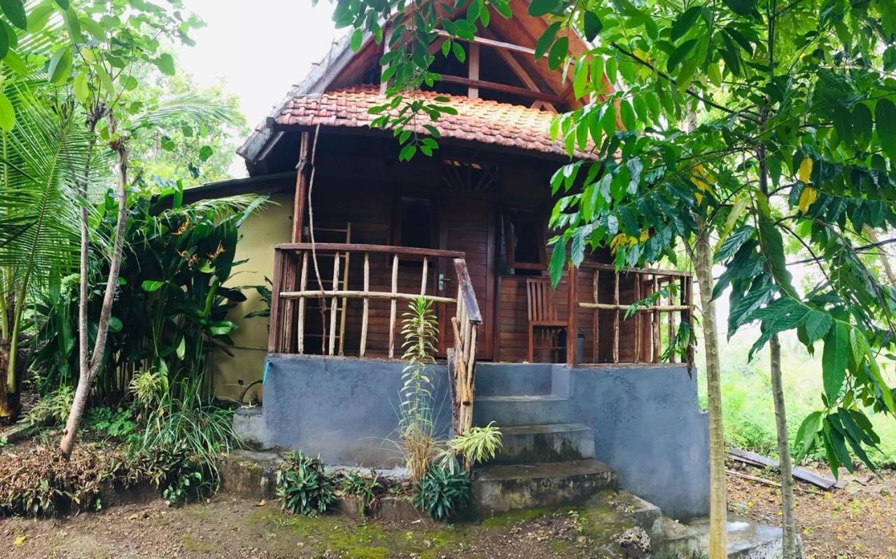 Echo Alam Nusa Lodge Ped ภายนอก รูปภาพ