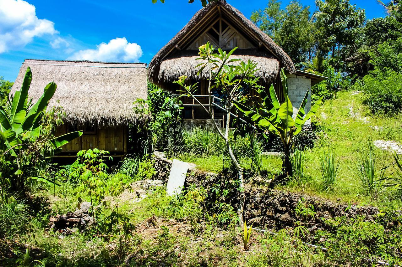 Echo Alam Nusa Lodge Ped ภายนอก รูปภาพ