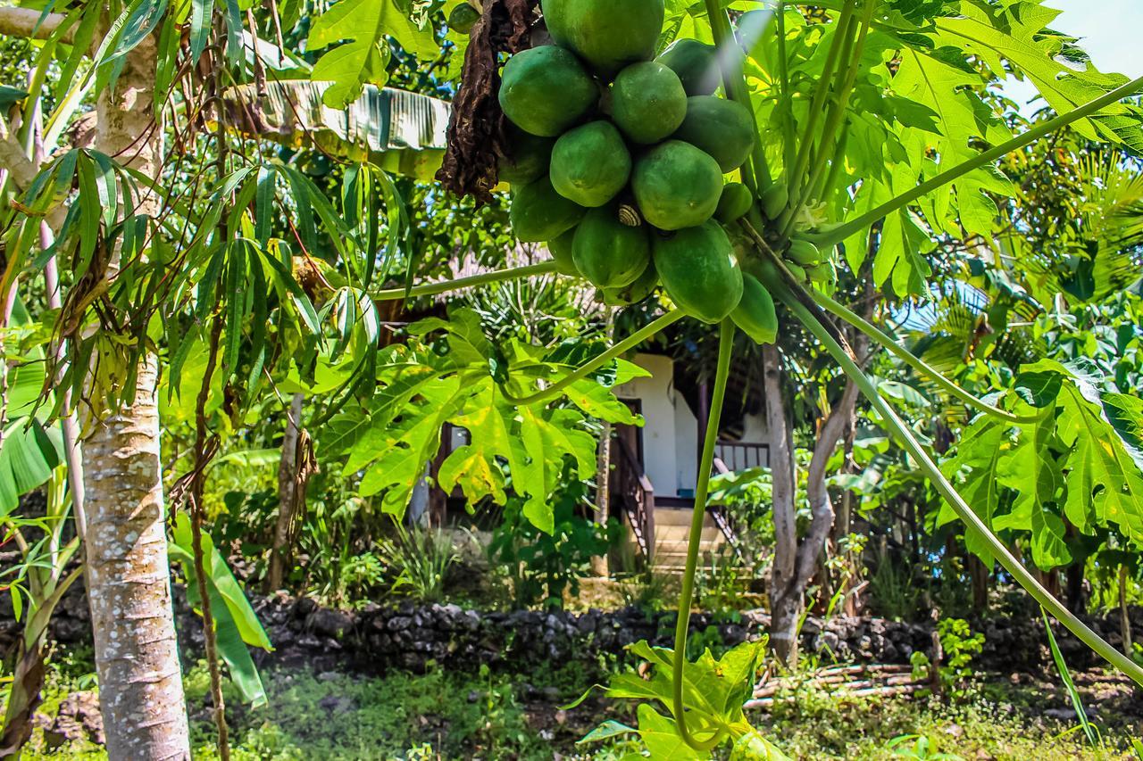 Echo Alam Nusa Lodge Ped ภายนอก รูปภาพ