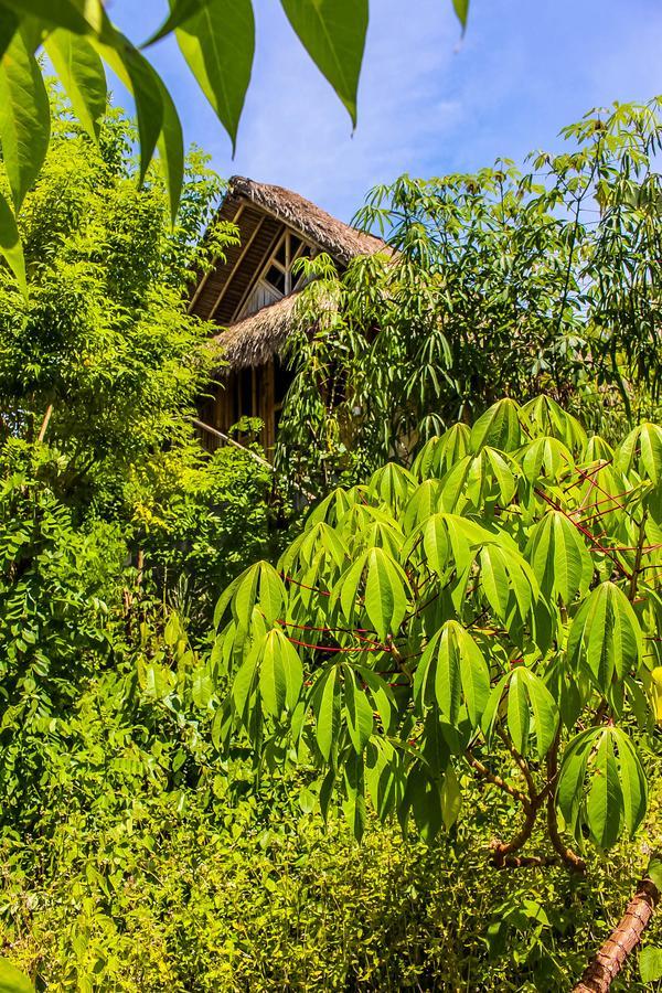 Echo Alam Nusa Lodge Ped ภายนอก รูปภาพ
